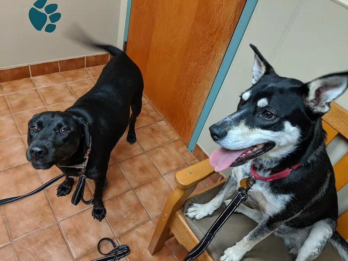 Banfield Pet Hospital 8