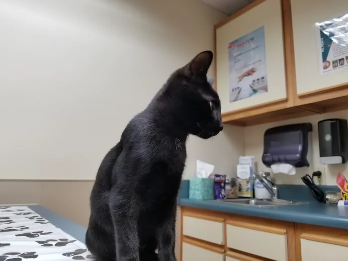 Banfield Pet Hospital 7