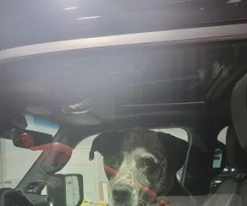 Pet Supplies Plus Crown Point