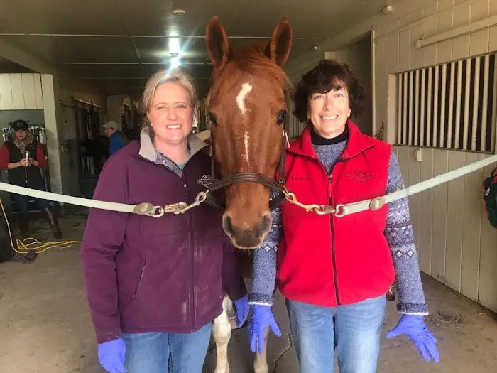 Rocky River Large Animal Veterinary Clinic 12