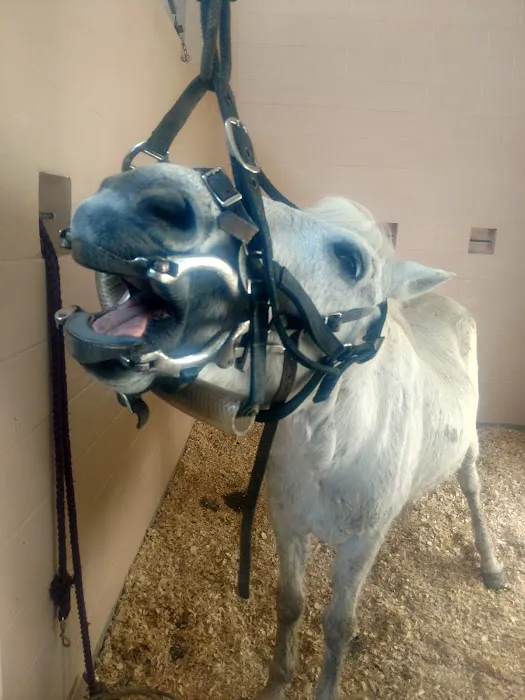 Rocky River Large Animal Veterinary Clinic 12