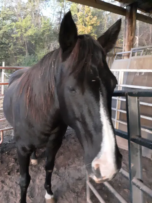 Rocky River Large Animal Veterinary Clinic 12