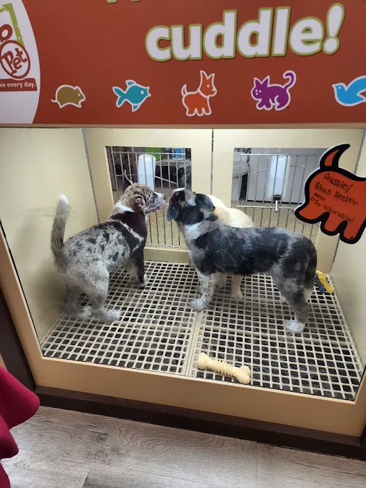 Petland Janesville 12