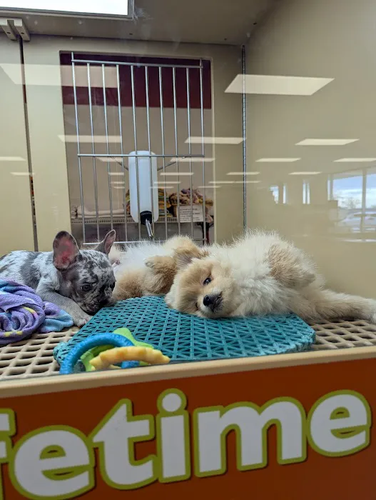 Petland Janesville 12