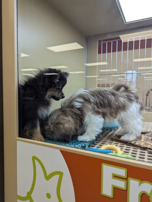 Petland Janesville 12