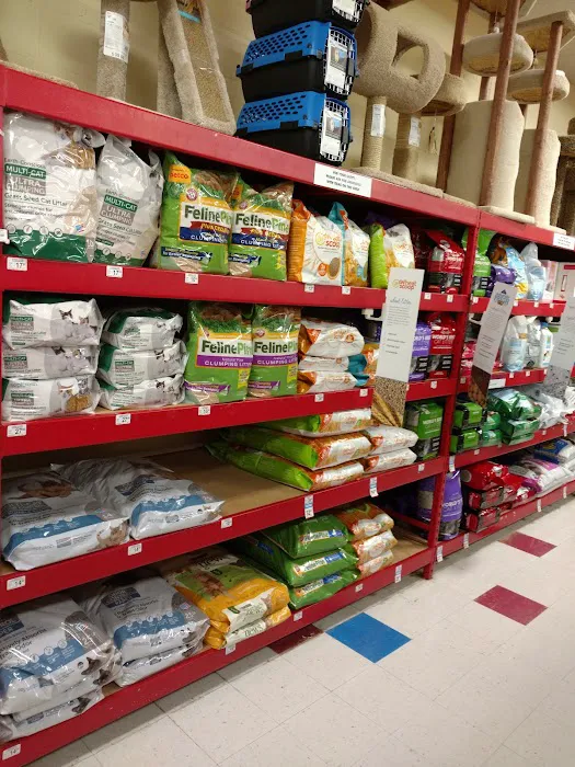 Petco 12