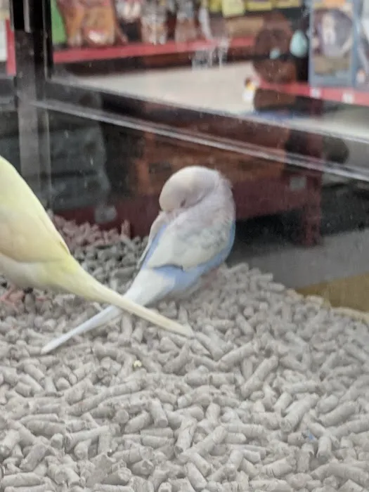 Petco 12