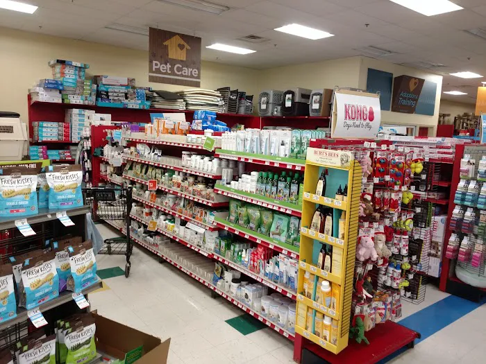 Petco 12