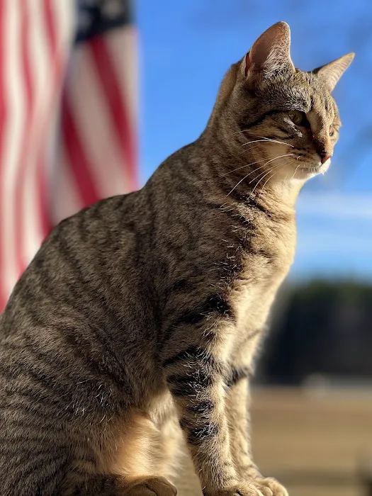 Cabarrus Spay & Neuter Clinic 12