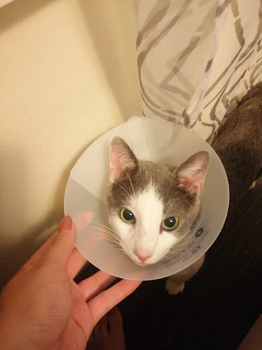 Cabarrus Spay & Neuter Clinic 12