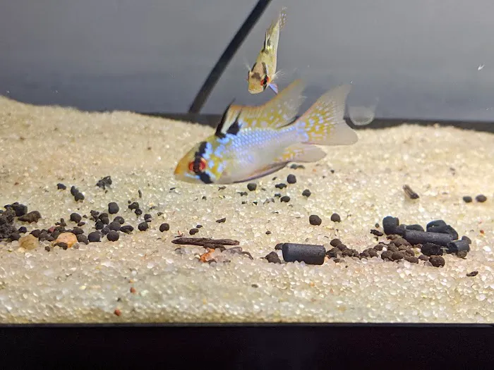 Tristan's Tropical Fish LLC 12