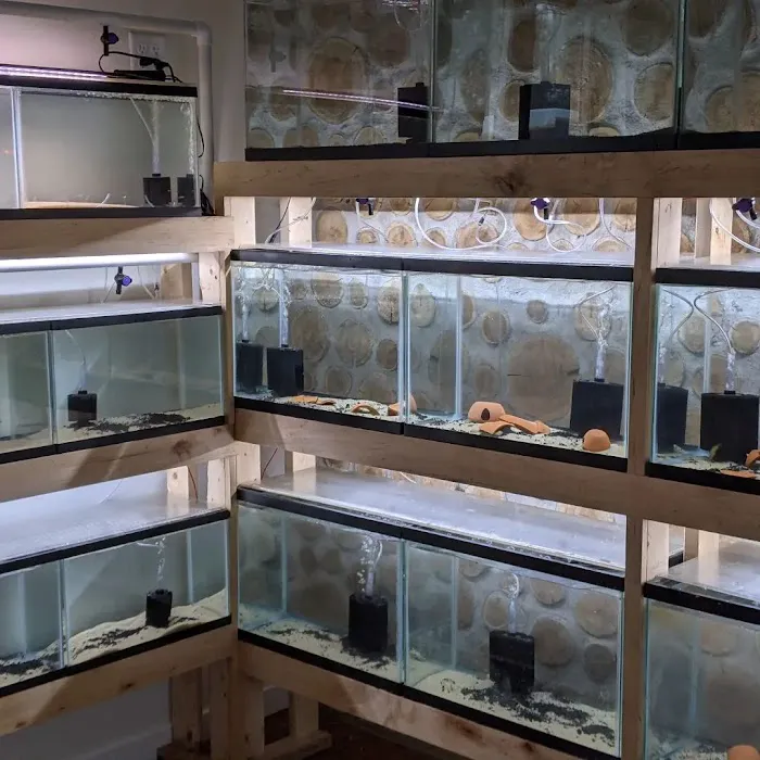 Tristan's Tropical Fish LLC 12