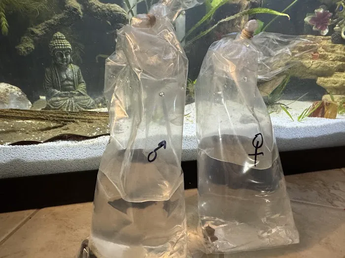 Tristan's Tropical Fish LLC 12