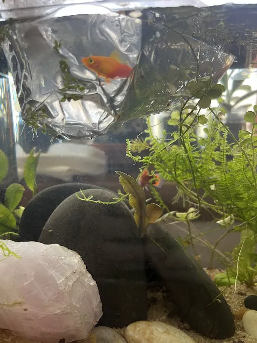Tristan's Tropical Fish LLC 12