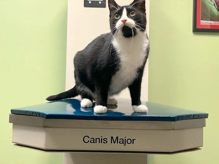 Animal Care Clinic of Concord 12