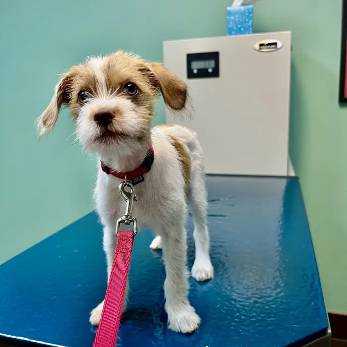 Animal Care Clinic of Concord 12