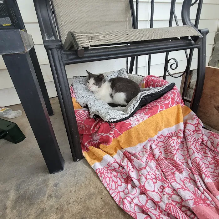Animal Care Clinic of Concord 12