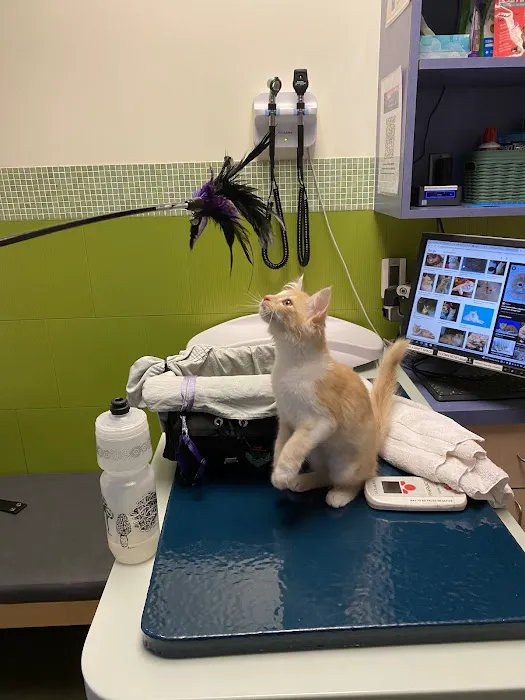 Rose City Veterinary Hospital 12