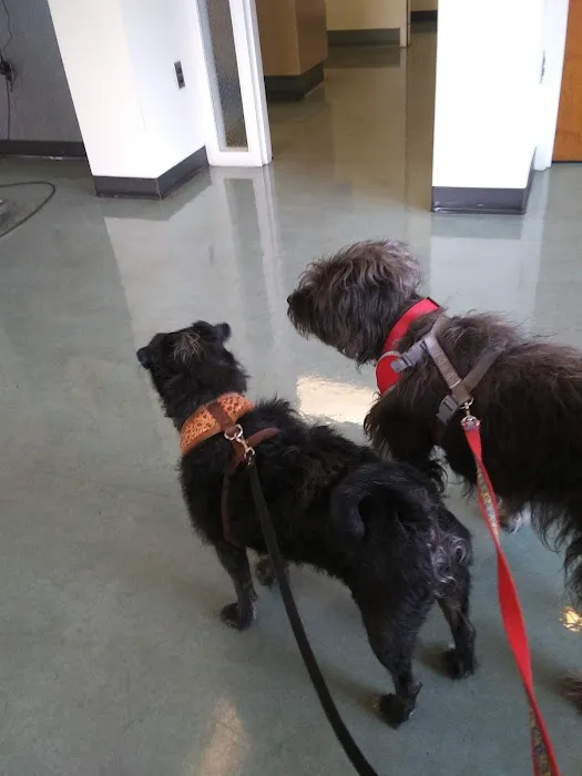 Rose City Veterinary Hospital 12