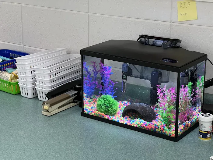 Red Fish Blue Fish Aquatics 12
