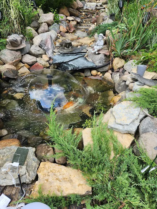 Red Fish Blue Fish Aquatics 12