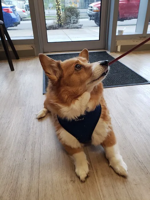 Wildwood Veterinary Clinic 12