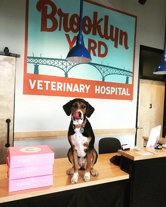 Brooklyn Yard Veterinary Hospital 1