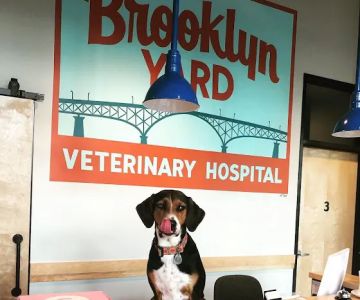 Brooklyn Yard Veterinary Hospital