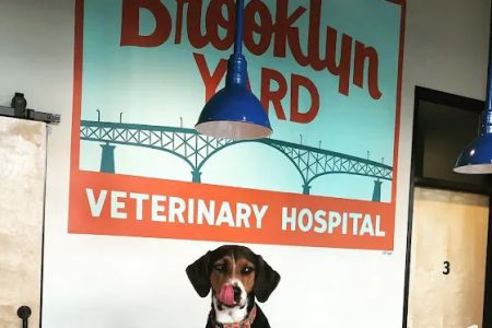 Brooklyn Yard Veterinary Hospital