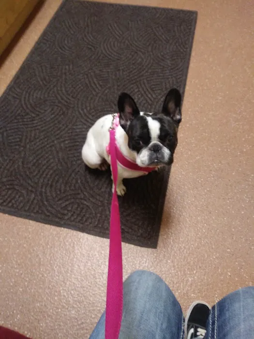 Hawthorn Veterinary Care (formerly Hawthorne Veterinary Clinic) 12