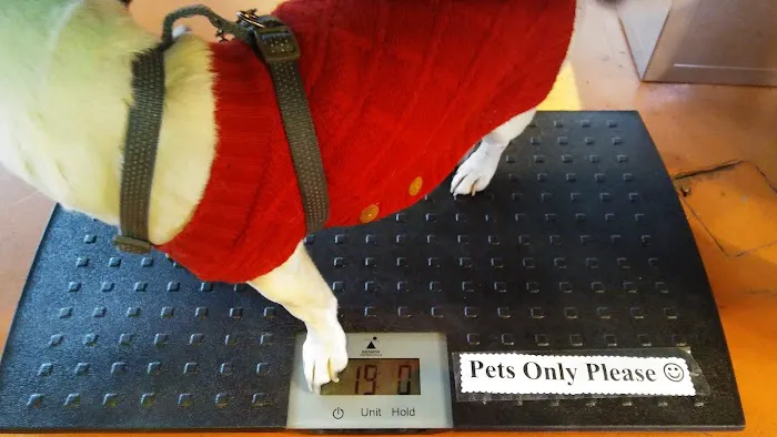 Hawthorn Veterinary Care (formerly Hawthorne Veterinary Clinic) 12
