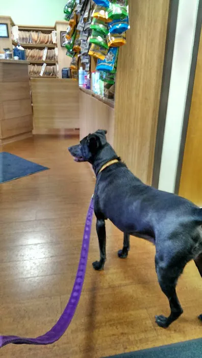 Hawthorn Veterinary Care (formerly Hawthorne Veterinary Clinic) 12