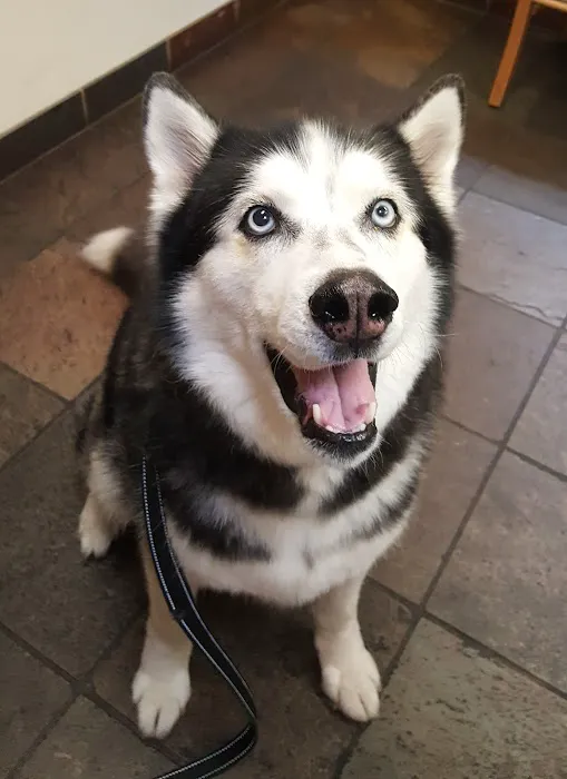 Best Friends Veterinary Medical Center 12