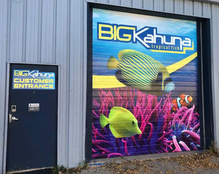 Big Kahuna Tropical Fish 12