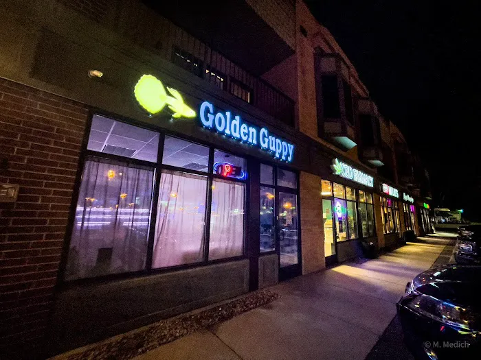 The Golden Guppy 12