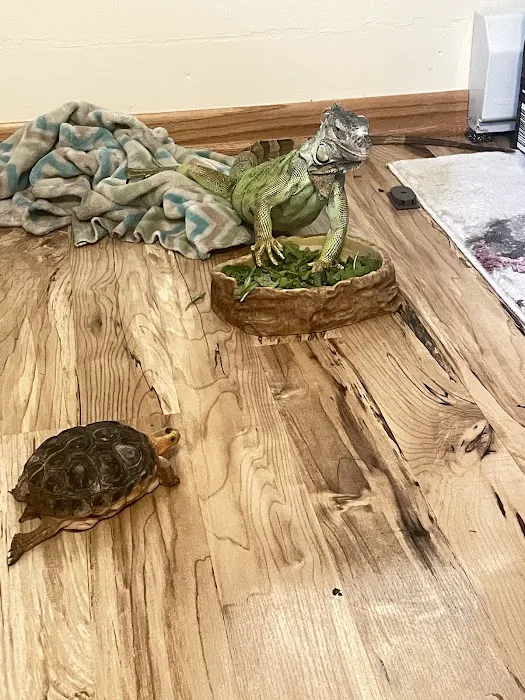 Reptile Rapture 12