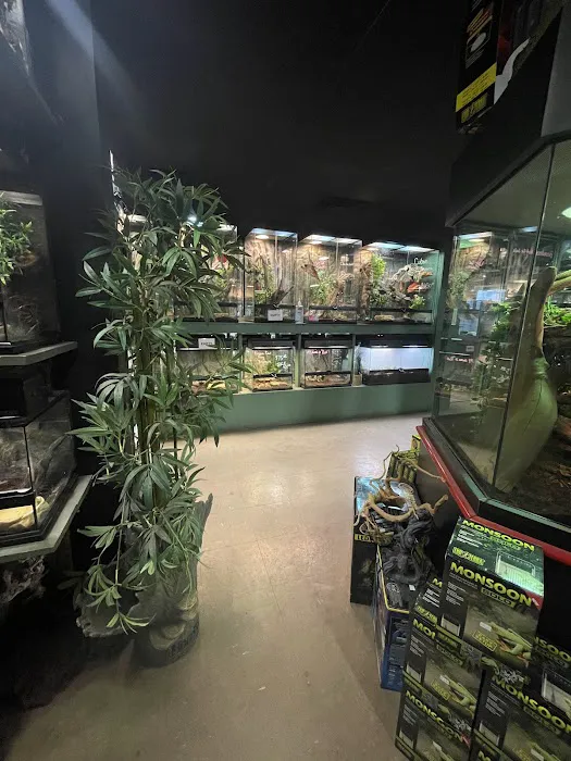 Reptile Rapture 12