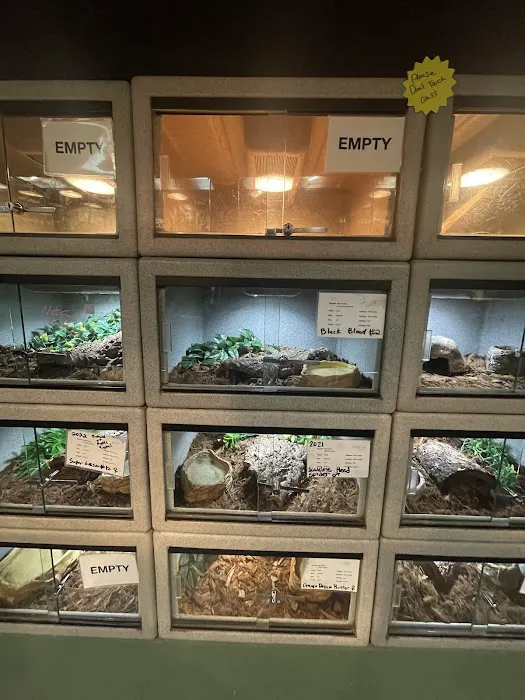 Reptile Rapture 12