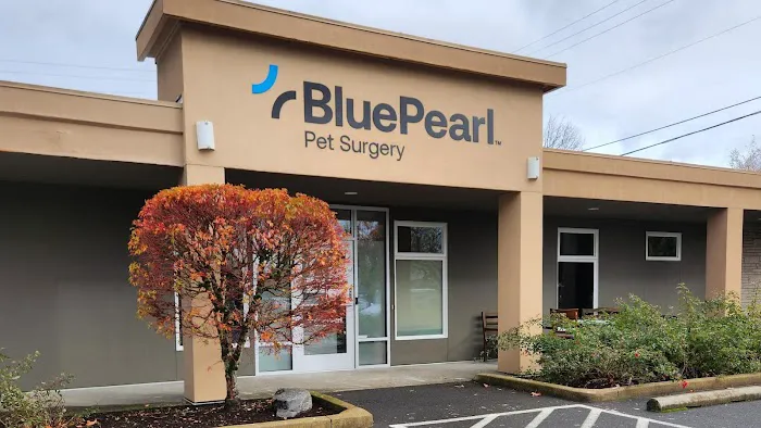 BluePearl Pet Surgery 12
