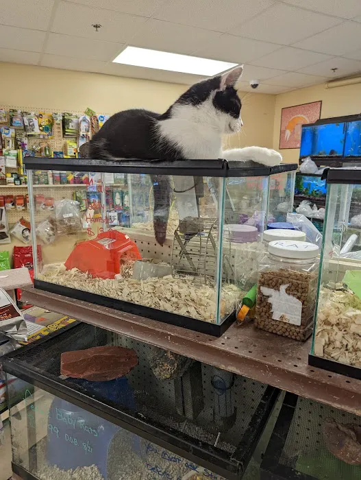 Noah's Ark Pet Center 12