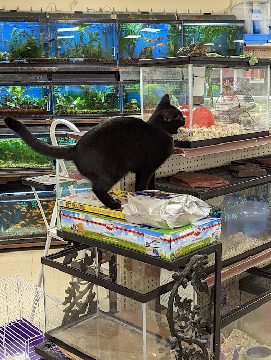Noah's Ark Pet Center 12