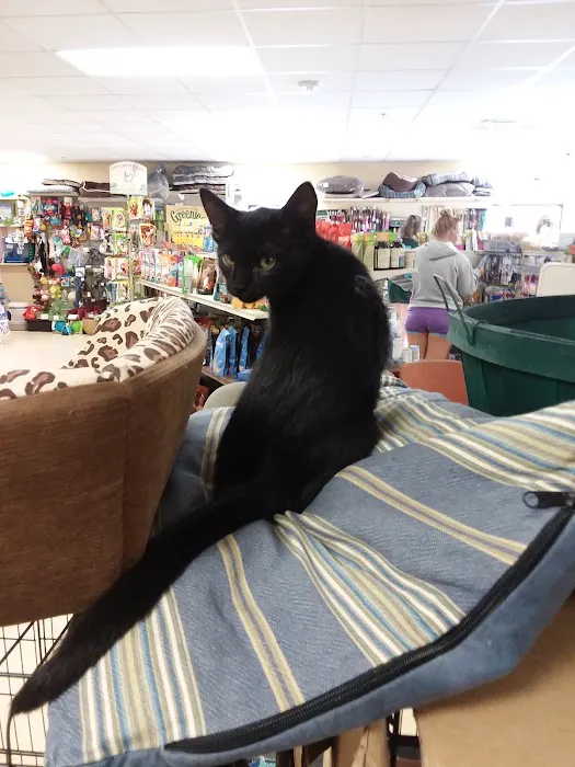 Noah's Ark Pet Center 12