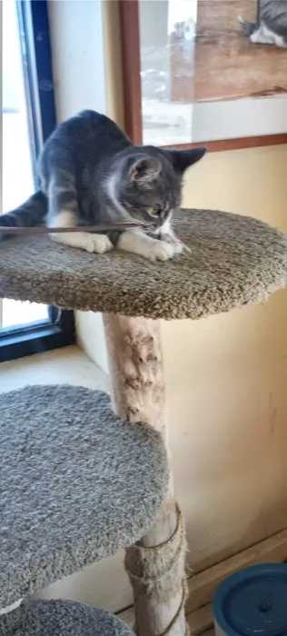 Noah's Ark Pet Center 12