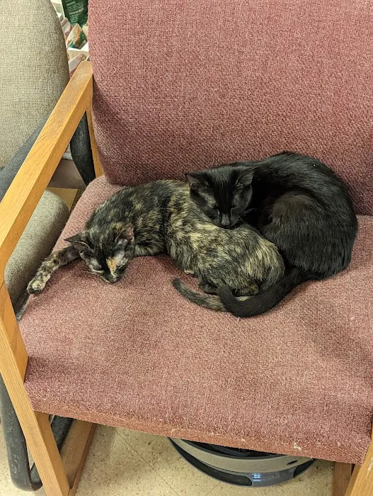 Noah's Ark Pet Center 12