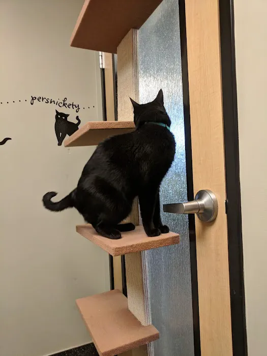 VCA Raleigh Hills Animal Hospital 12