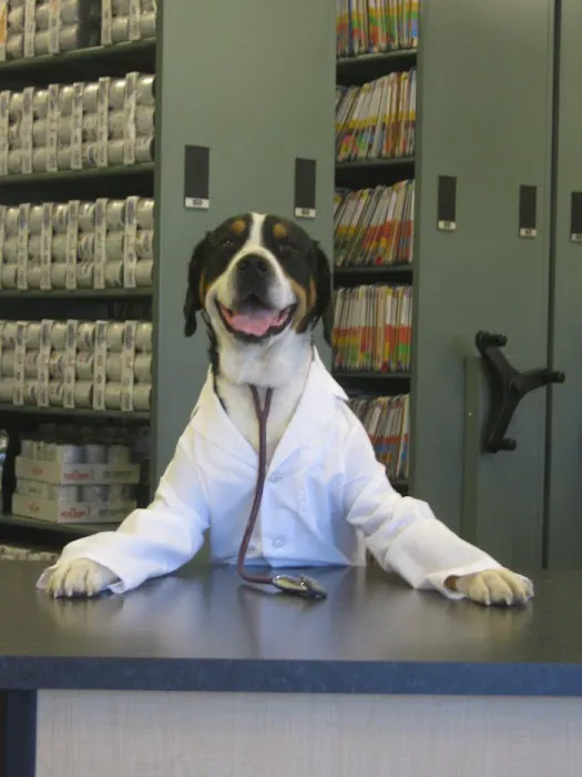 VCA Raleigh Hills Animal Hospital 12