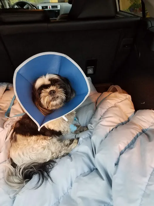 VCA Raleigh Hills Animal Hospital 12