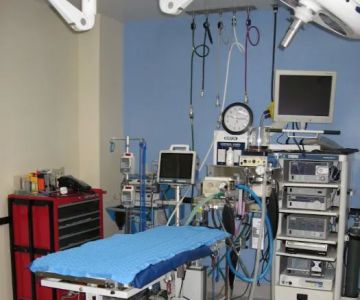 VCA Raleigh Hills Animal Hospital