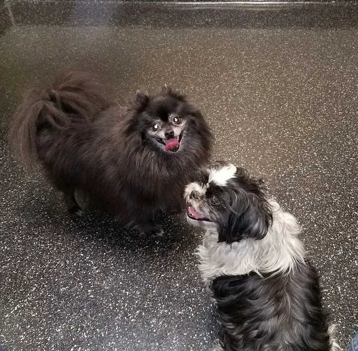VCA Raleigh Hills Animal Hospital 12