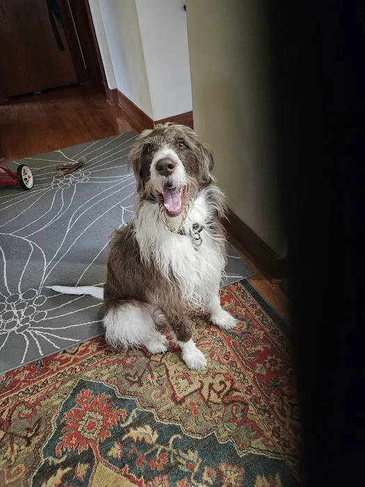 Laurelwood Animal Hospital 12